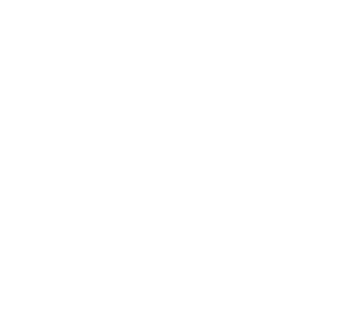 Burren Ecotourism Logo